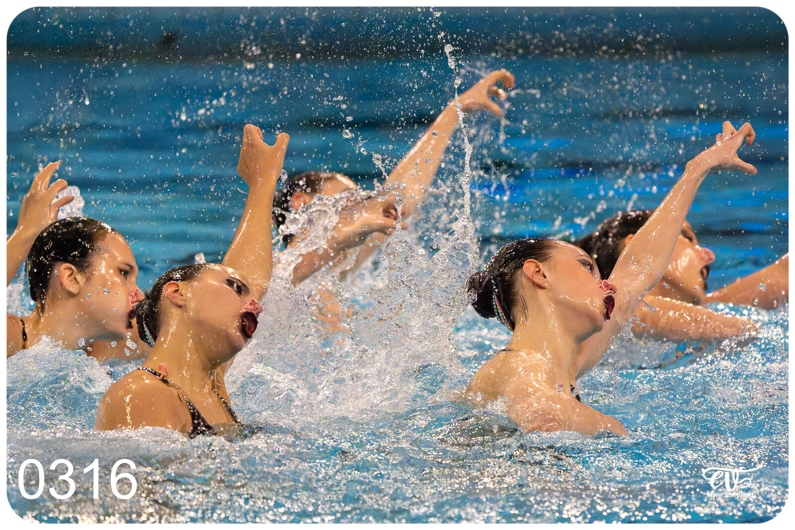 CHAMPIONNAT DE FRANCE DE NATATiON ARTISTIQUE N1 & ELITE 2026